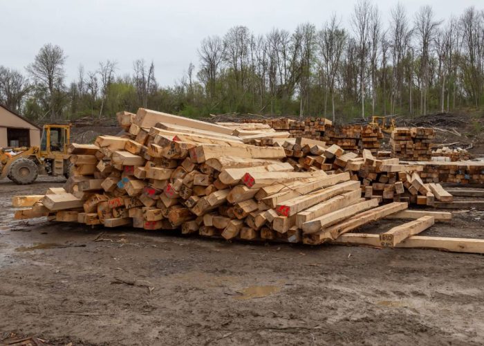 buel-timber_29